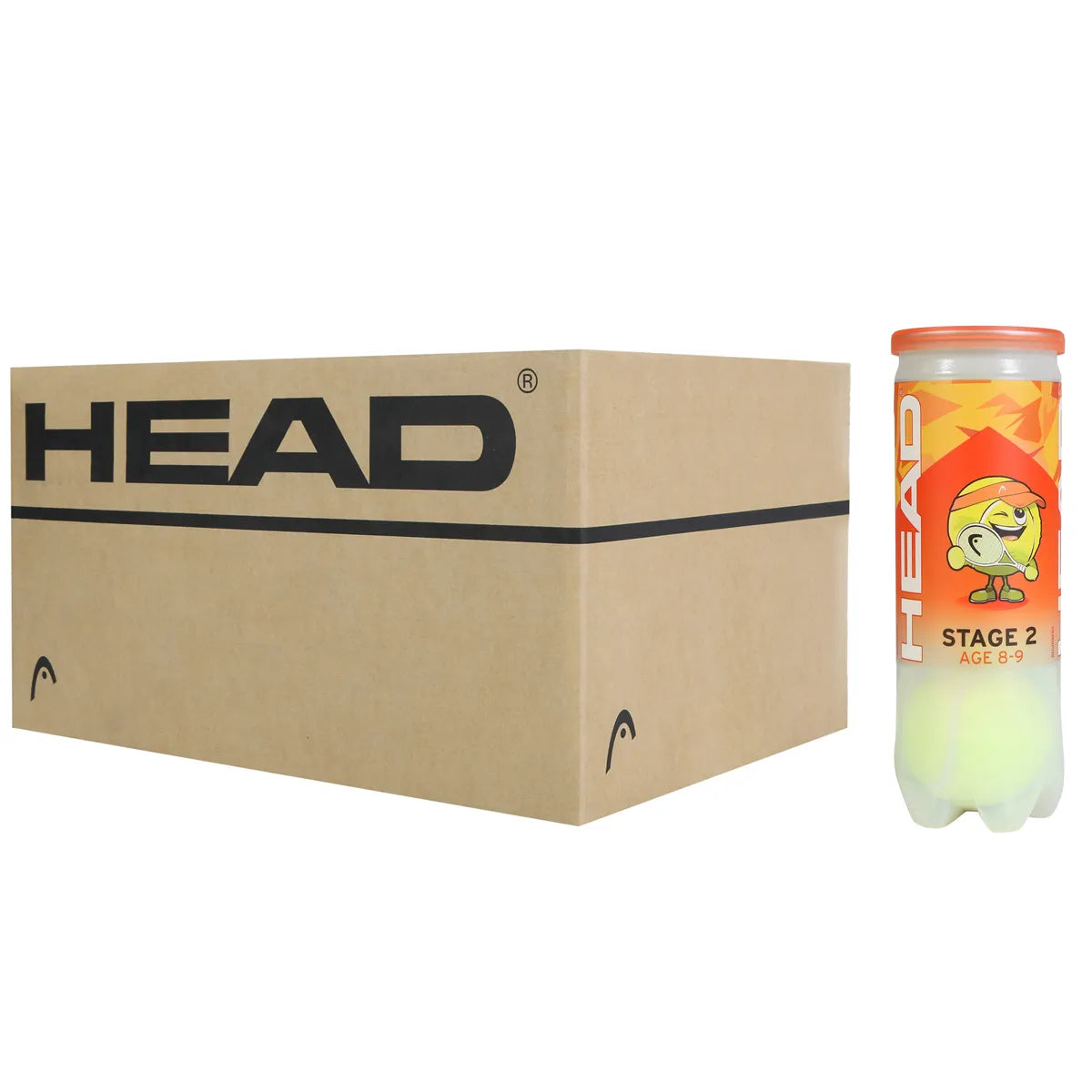Karton mit 24 Röhren à 3 Head Tip Orange Bällen