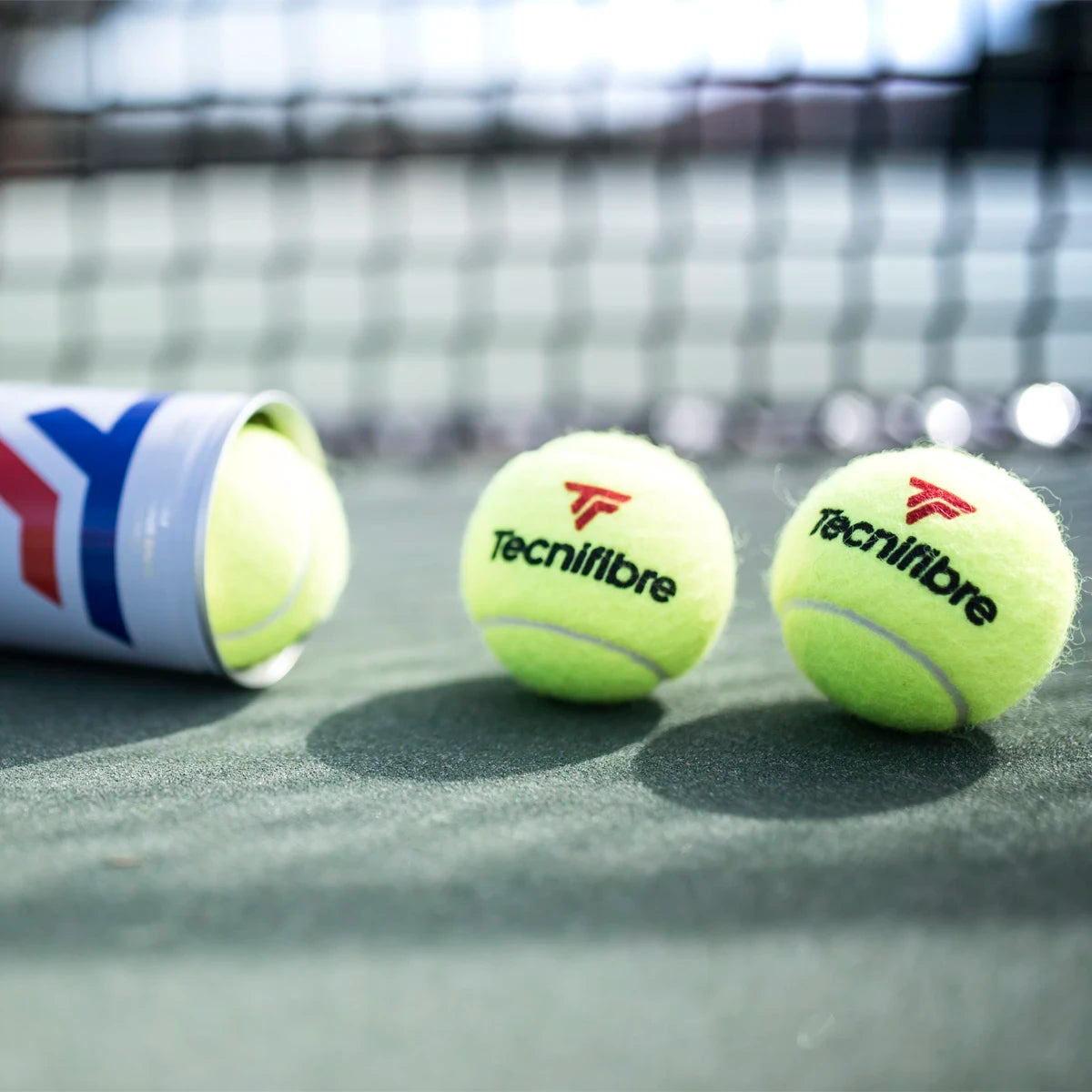 Karton mit 36 Röhren à 4 Tecnifibre X-One Bällen