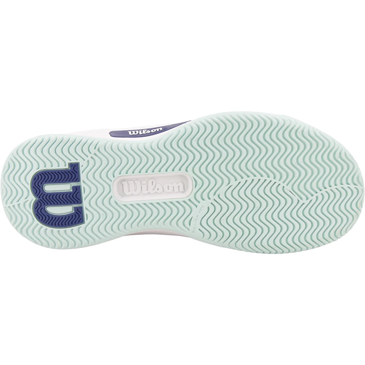 Wilson Damen Intrigue Pro Allcourtschuh