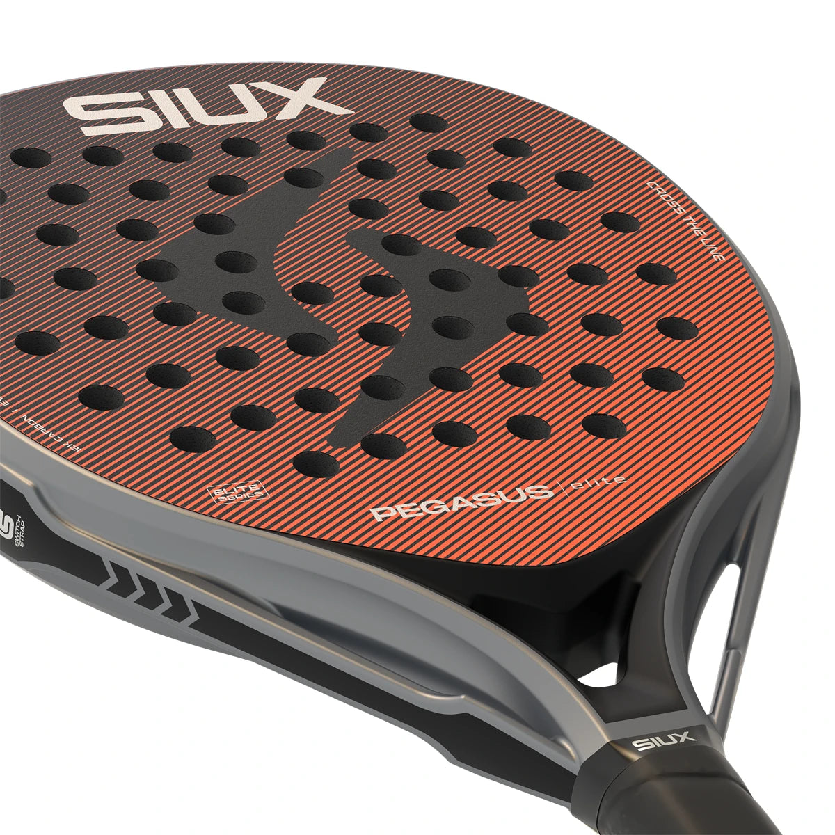 Padelschläger Siux Pegasus Elite 4