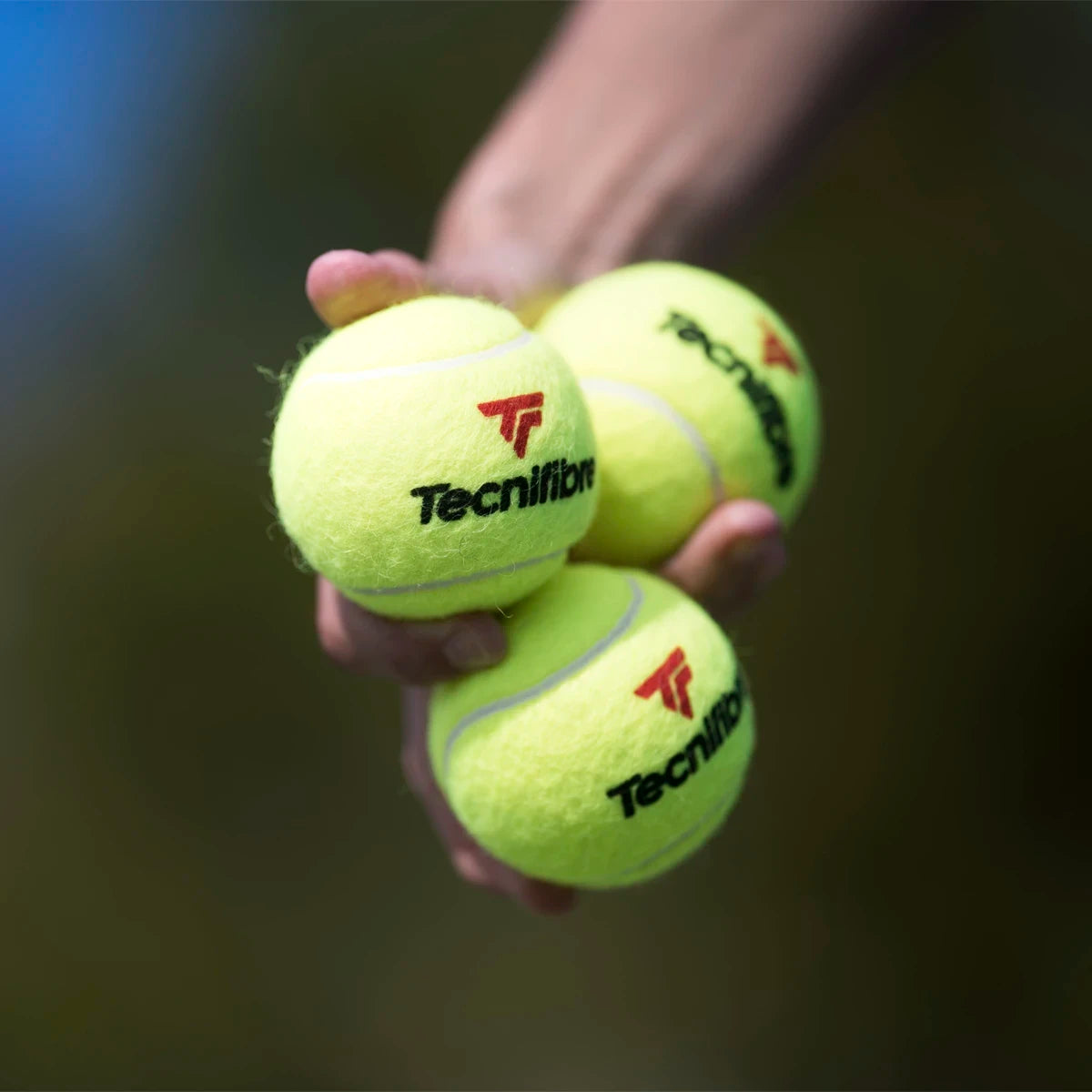 Karton mit 36 Röhren à 4 Tecnifibre X-One Bällen