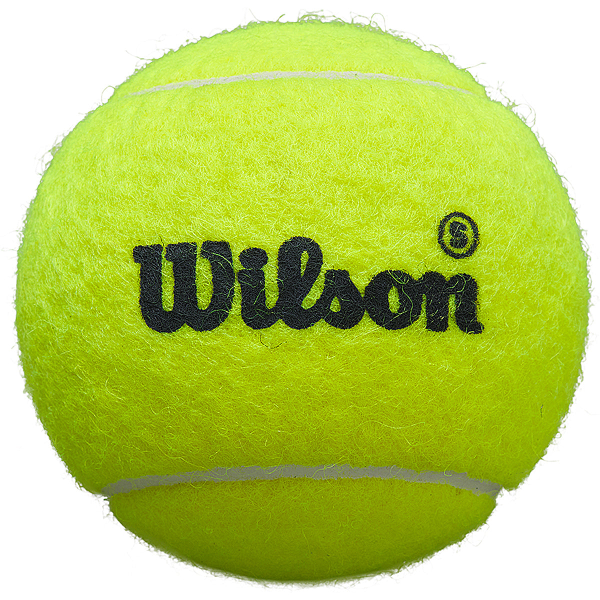 Tube mit 3 Padel-Bällen Wilson Premier Padel Speed