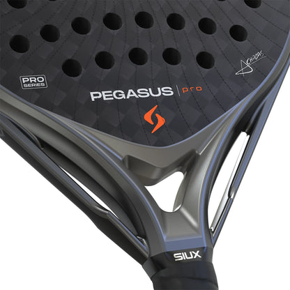 Padelschläger Test Siux Pegasus Pro 2026 Storm Grey