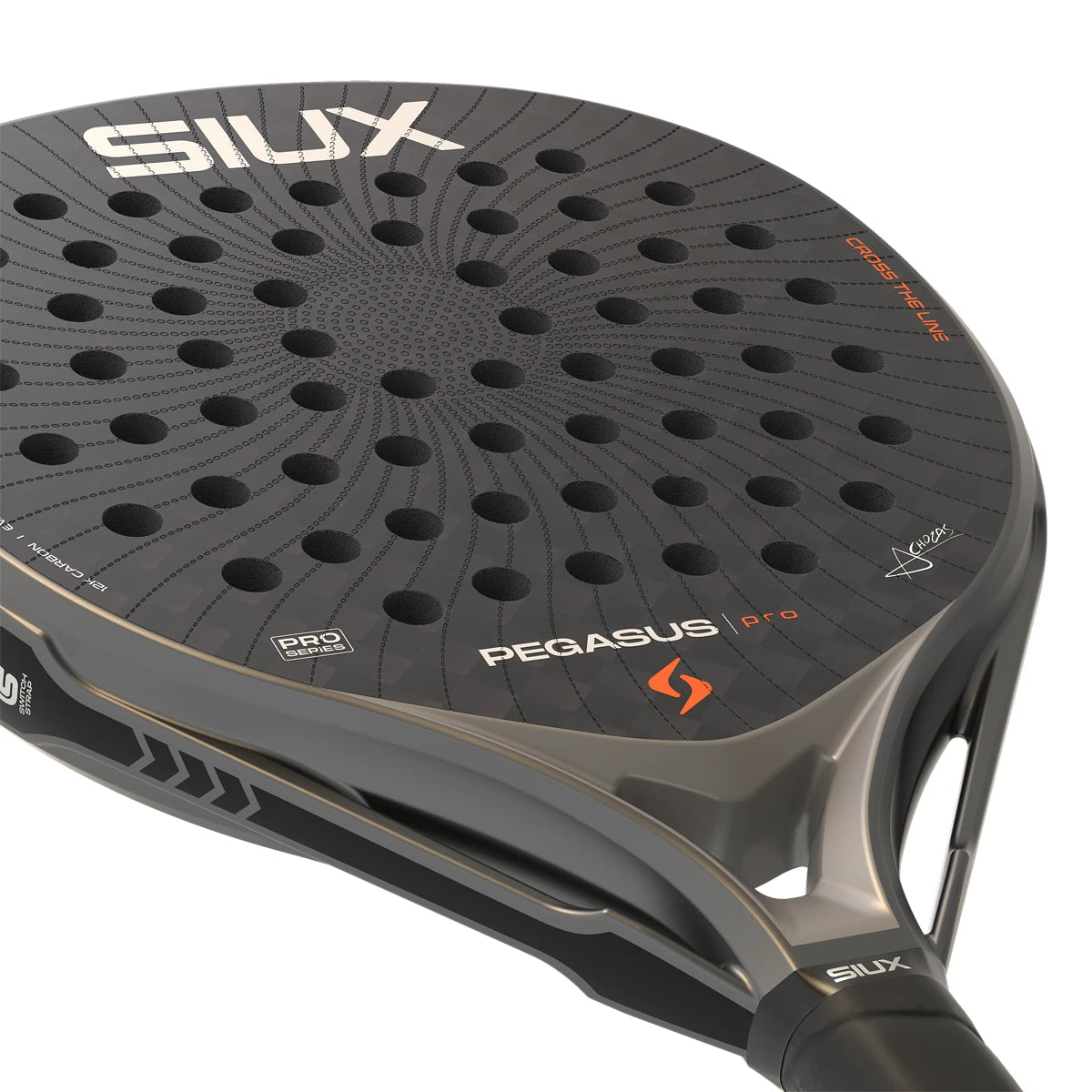 Padelschläger Test Siux Pegasus Pro 2026 Storm Grey