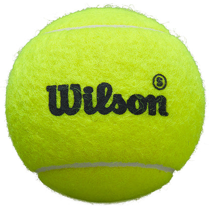 Tube mit 3 Padel-Bällen Wilson Premier Padel Speed