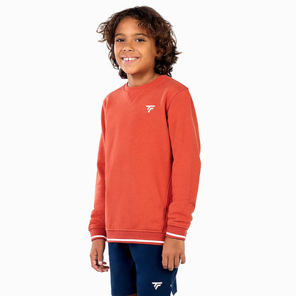 Sweatshirt Tecnifibre Junior Team Terry