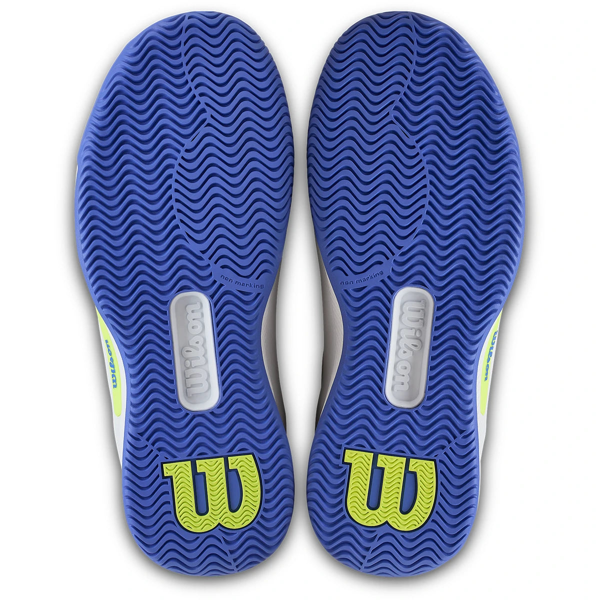 Wilson Damen Intrigue Pro Allcourtschuh