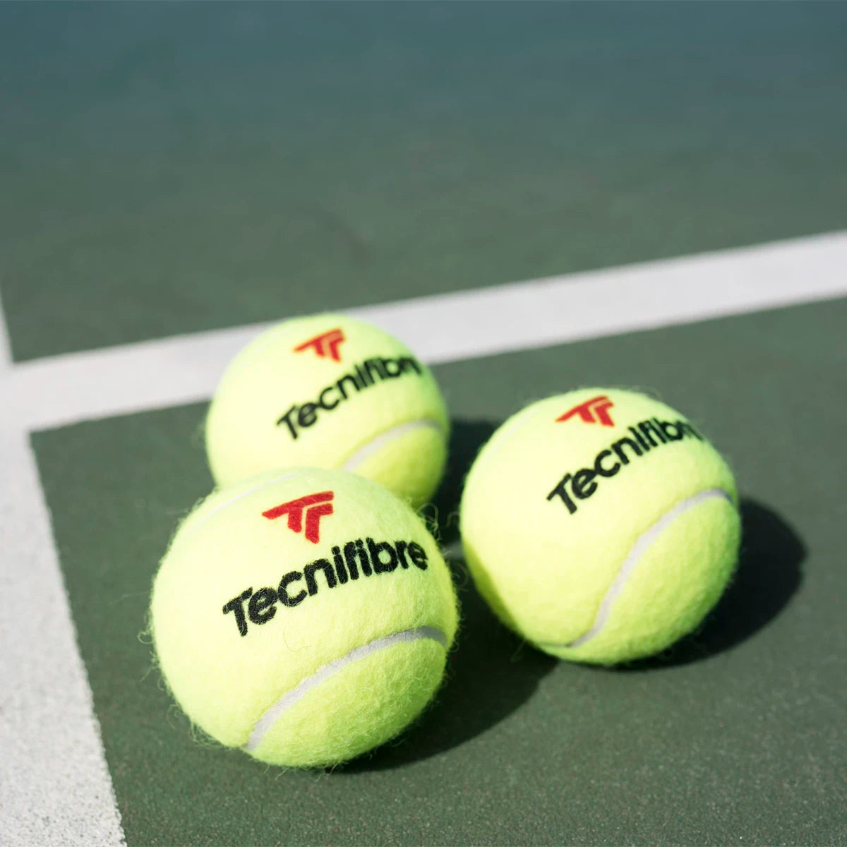 Karton mit 36 Röhren à 4 Tecnifibre X-One Bällen