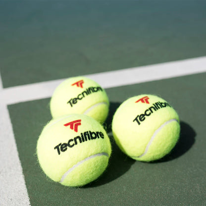 Karton mit 36 Röhren à 4 Tecnifibre X-One Bällen